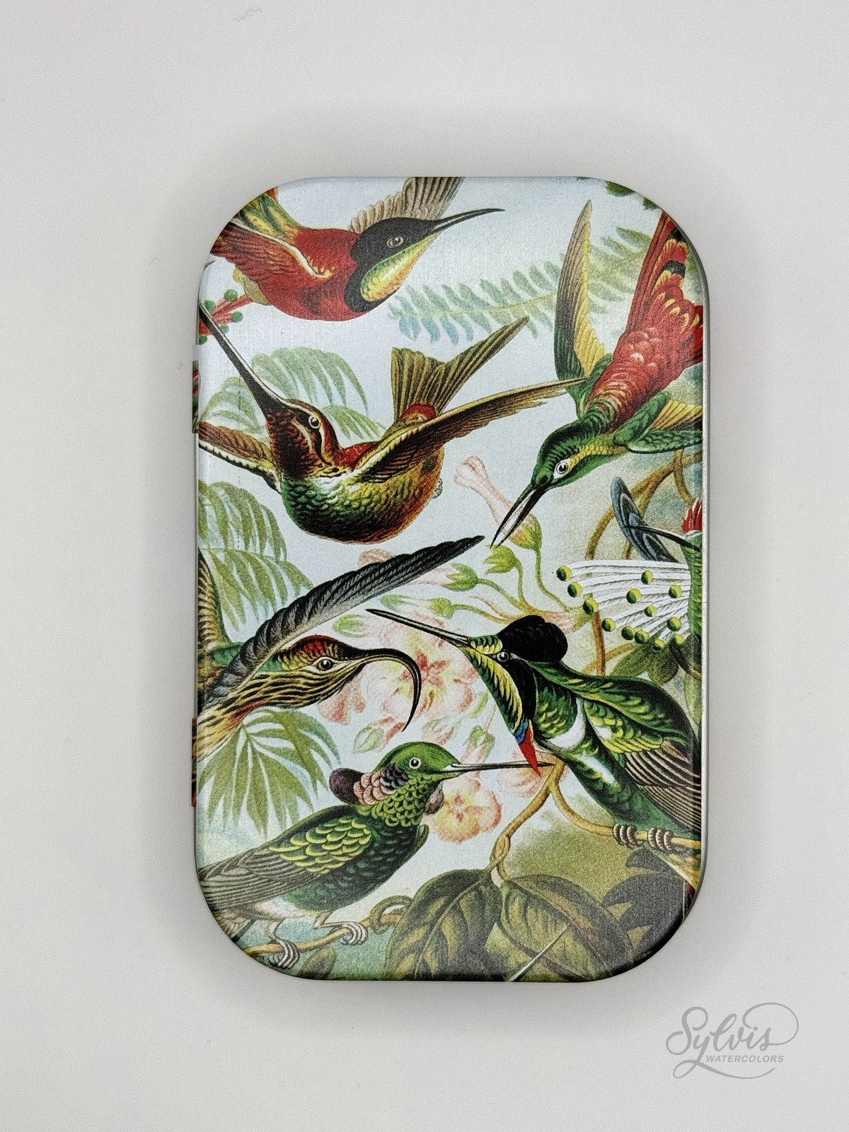 Box with hummingbirds for max. 12-14 half pans