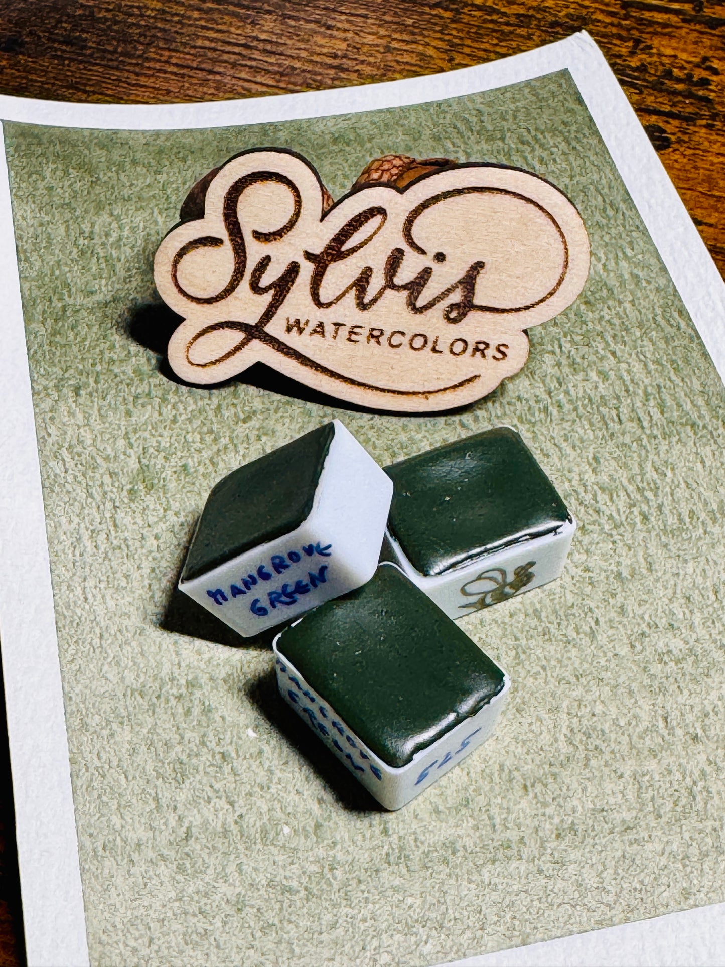 Farbswatch auf Aquarellpapier Mangrove Green mit Holzlogo und drei halben Näpfchen Mangrove Green