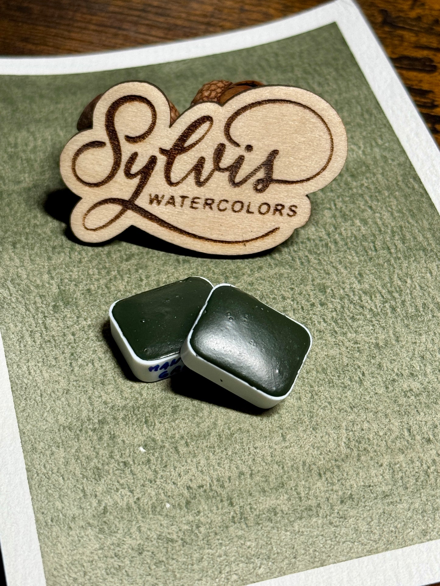Farbswatch auf Aquarellpapier Mangrove Green mit Holzlogo und zwei viertel Näpfchen Mangrove Green